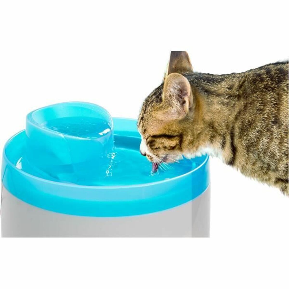 Fontaine pour Animaux de Compagnie Zolux