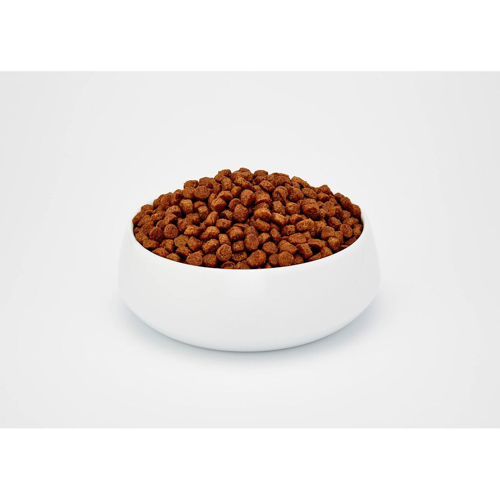 Aliments pour chat BOSCH ADULT Adulte Poulet Oiseaux 10 kg