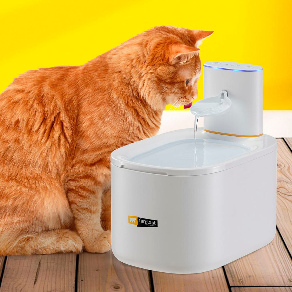Fontaine pour Animaux de Compagnie Ferplast
