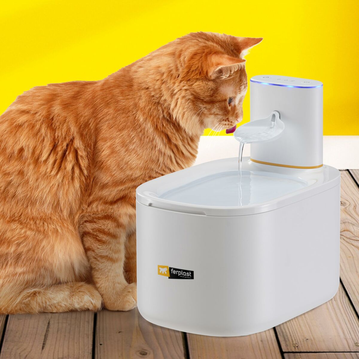Fontaine pour Animaux de Compagnie Ferplast