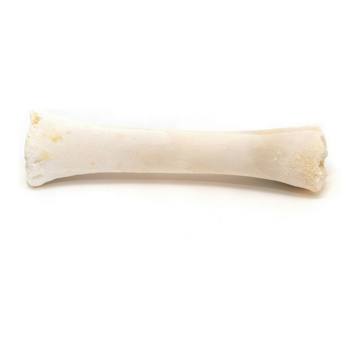 Snack pour chiens Gloria Veau Os Calcium 20 Unités